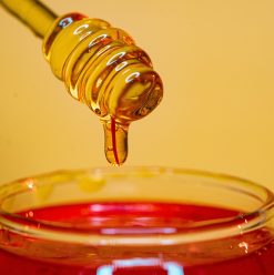 كمشكاة للعسل الطبيعي.. تجربة جديدة وأنواع مختلفة تستحق الاكتشاف