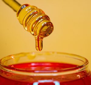 كمشكاة للعسل الطبيعي.. تجربة جديدة وأنواع مختلفة تستحق الاكتشاف